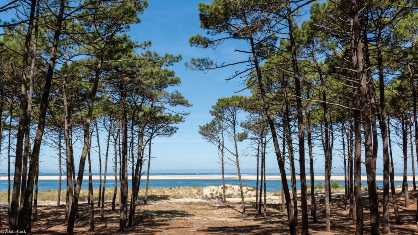 Les avantages à résider sur un emplacement pour tentes dans les Landes
